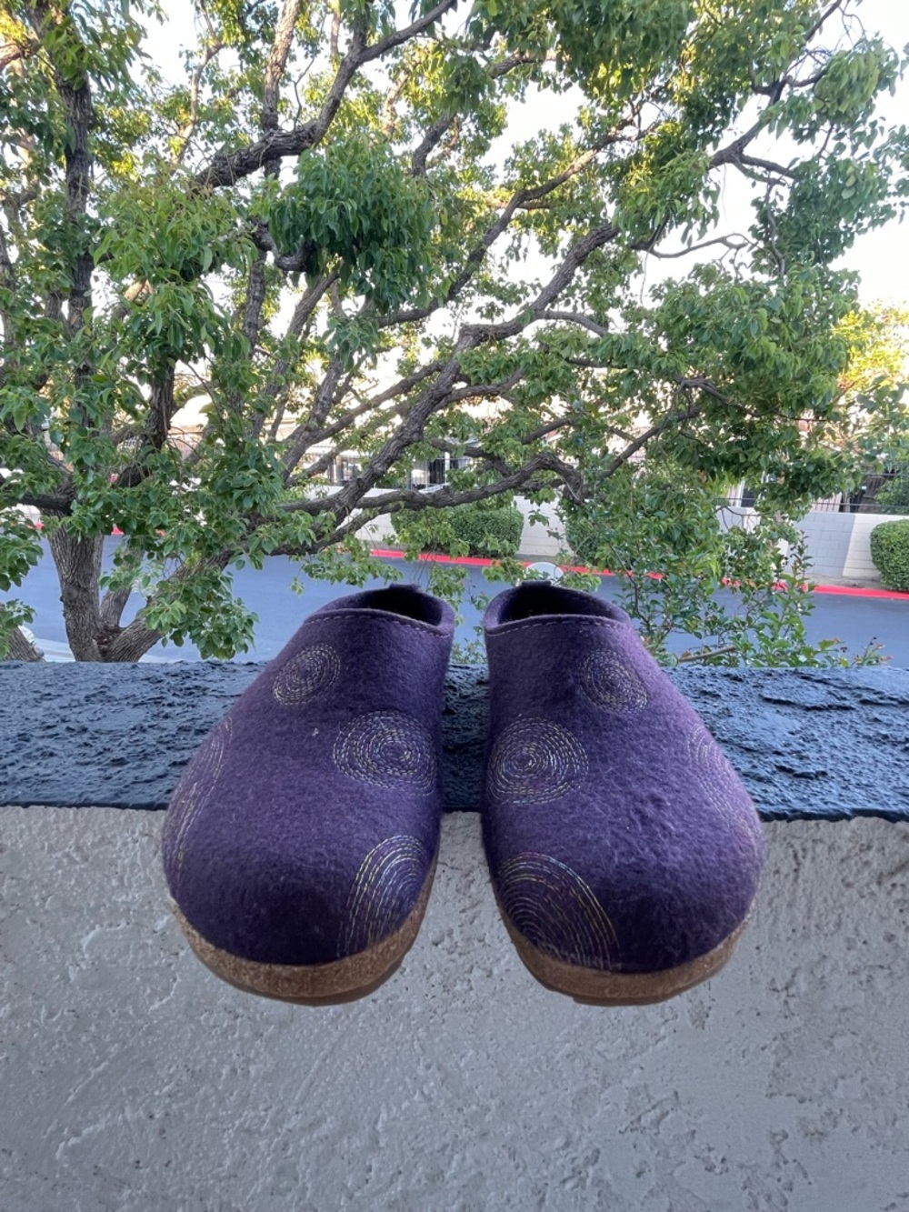 Haflinger Purple Felted Wool Clog Flats